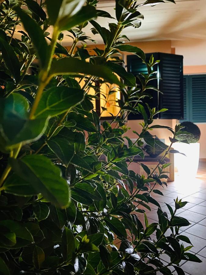 The Loft E&E Open Space Empoli Exteriér fotografie